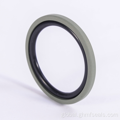 Gray Circle Professional Design Hydraulic Piston Compact Seal Factory